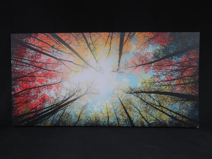 Canvas Wall Art