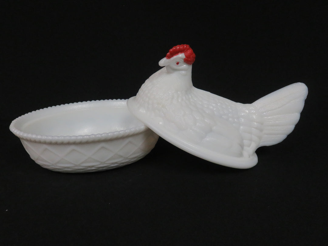 Hen on a Nest