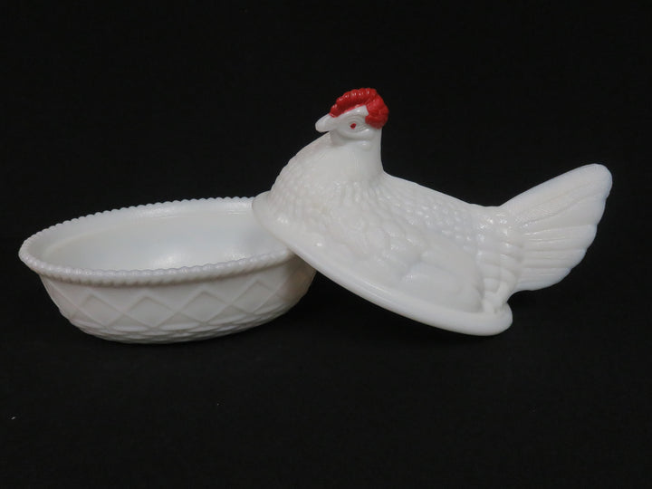 Hen on a Nest