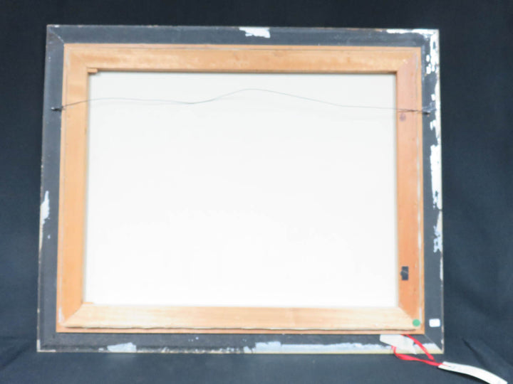 Original Island Scene