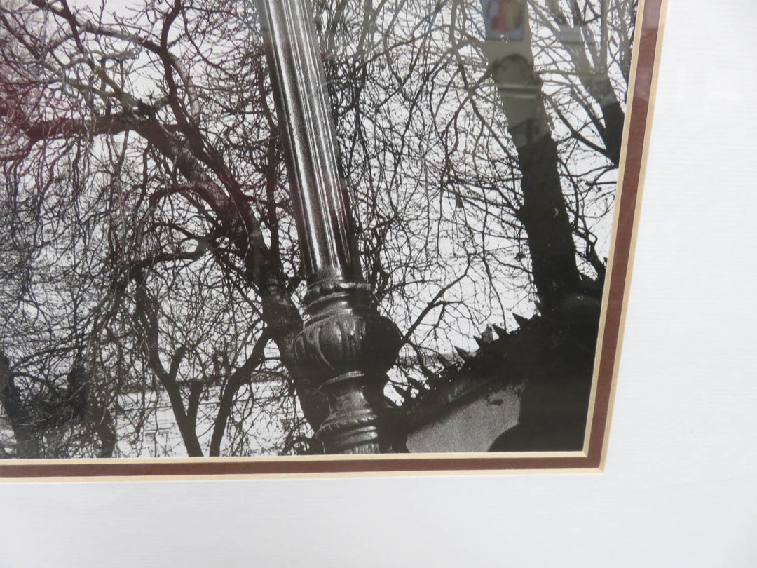 Black and White Photograph