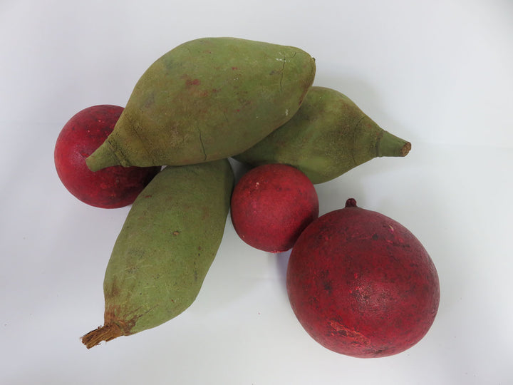 Paper Mache Vegetales