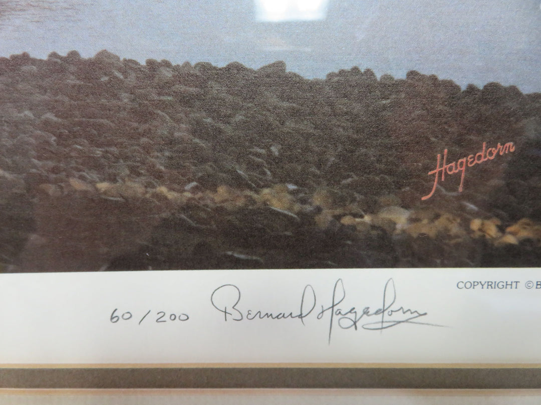 Bernard Hagedorn Print