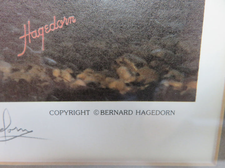 Bernard Hagedorn Print