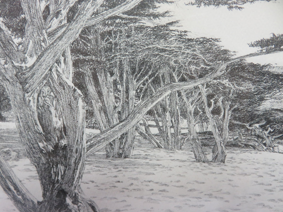 Carmel CA Beach Scene