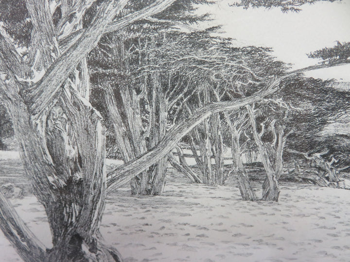 Carmel CA Beach Scene