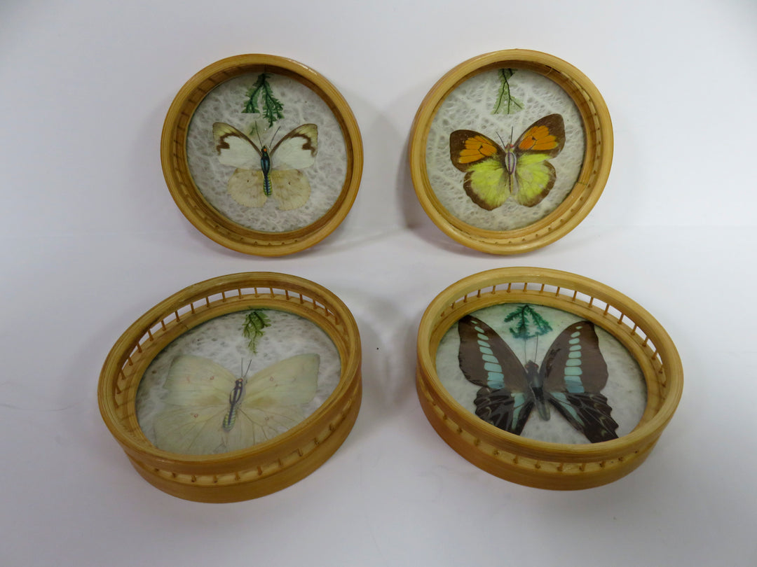 MCM Butterfly Coasters