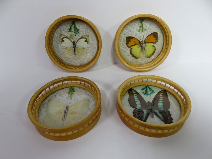 MCM Butterfly Coasters