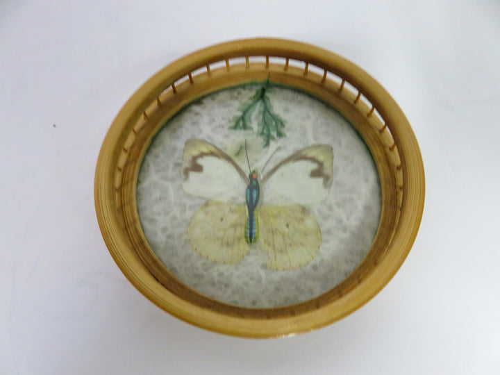 MCM Butterfly Coasters