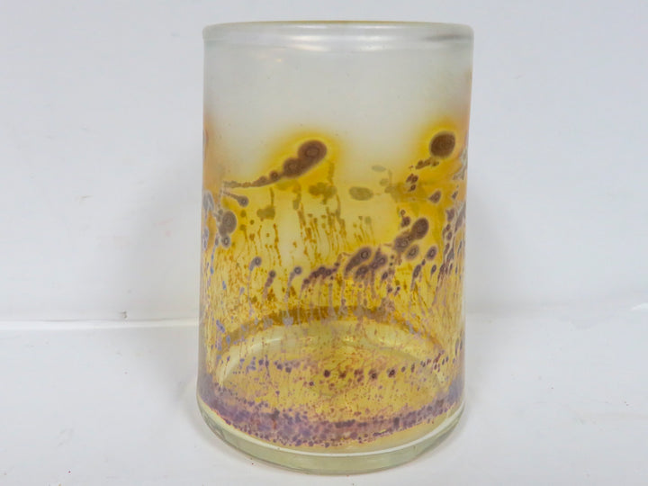 Antique Robert Coleman Glasses