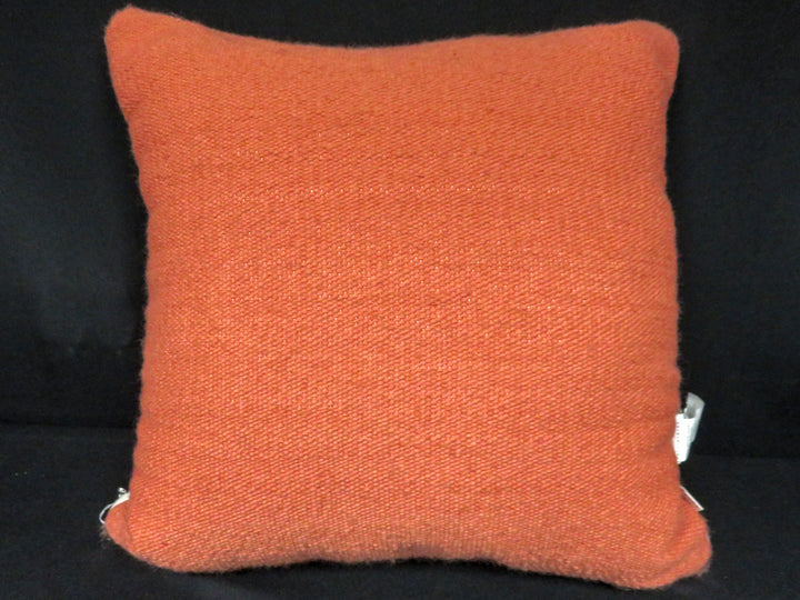 Pottery Barn Throw Pillow