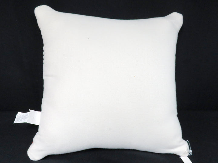 Pottery Barn Throw Pillow