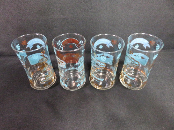 MCM Niagara Falls Tumblers