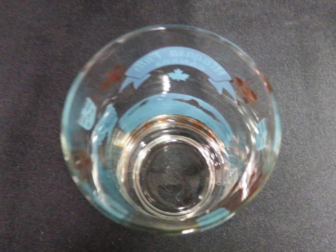 MCM Niagara Falls Tumblers