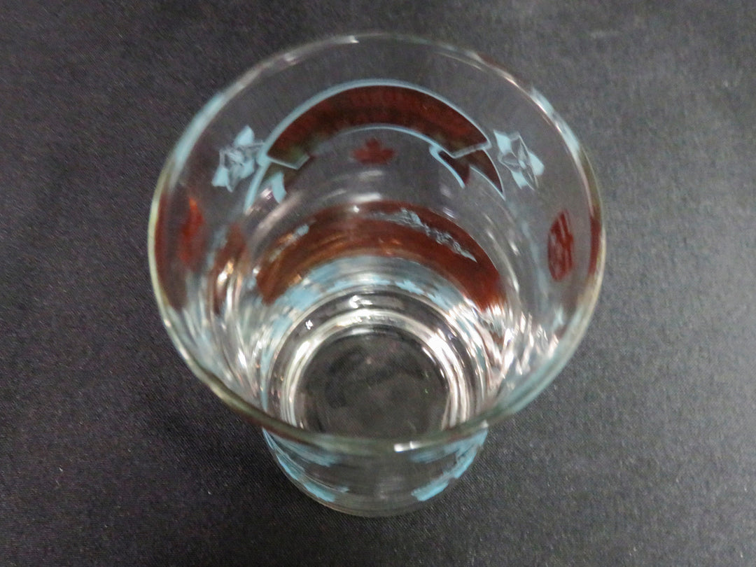 MCM Niagara Falls Tumblers