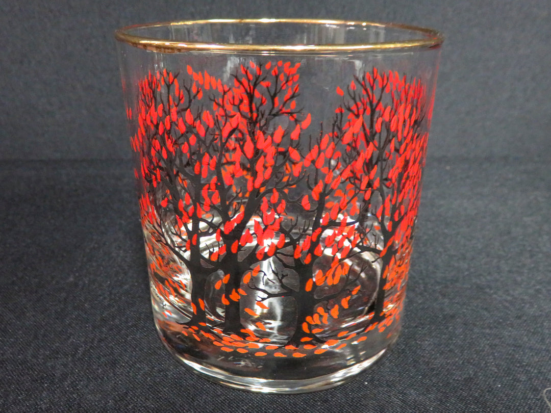 Houze "Four Seasons" DOF