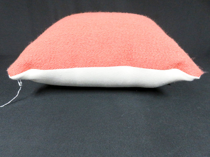 Pottery Barn Throw Pillow