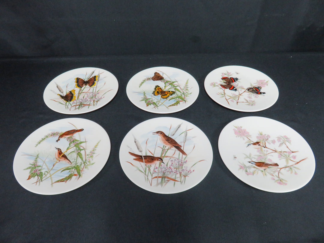 Pickard Salad Plates