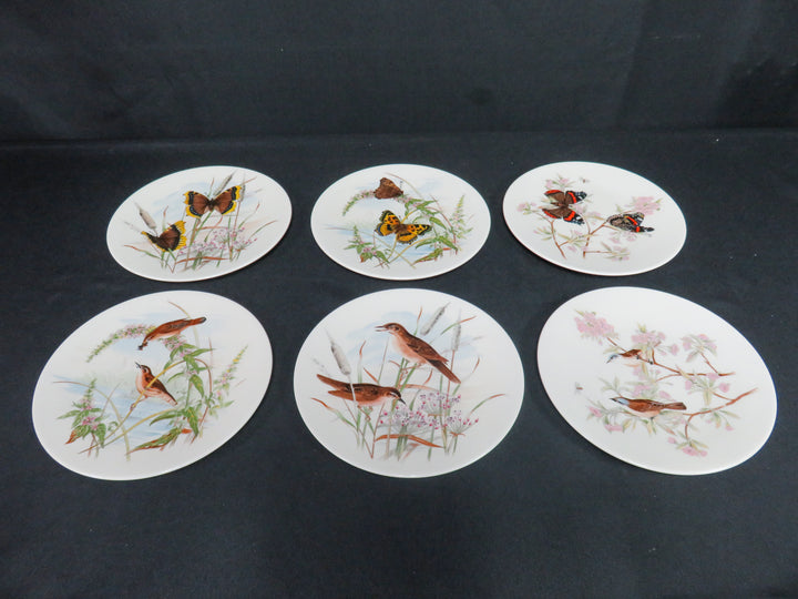 Pickard Salad Plates