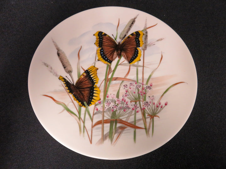 Pickard Salad Plates