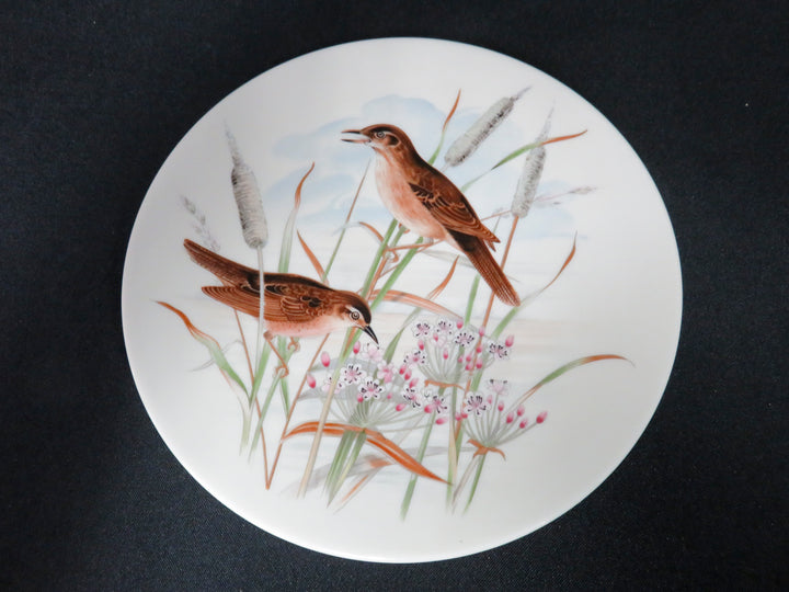 Pickard Salad Plates