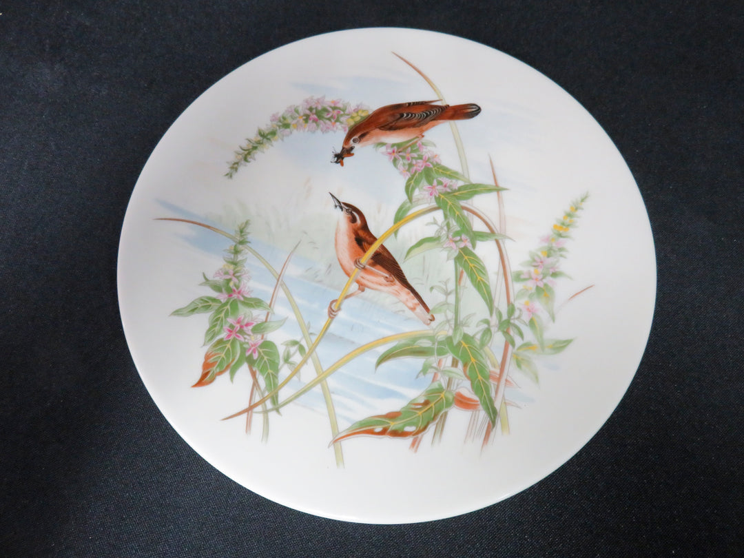 Pickard Salad Plates