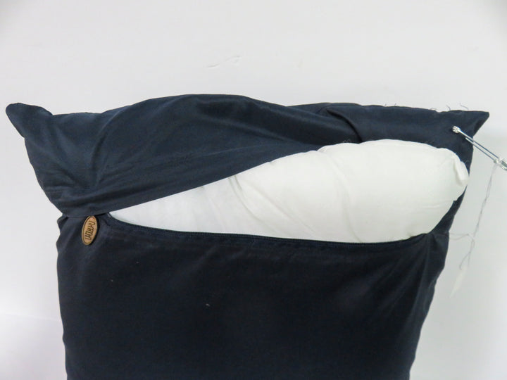 Pier 1 Throw Pillow