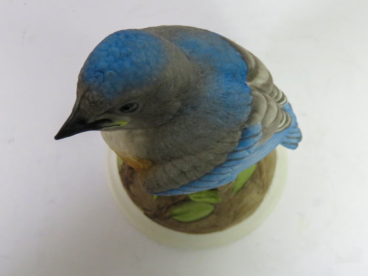 Boehm Bird Figurine